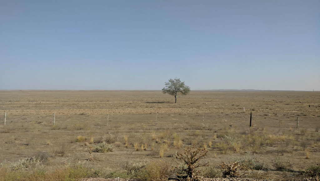 Ein Blick auf die endlose Steppe am Weg nach Almaty 