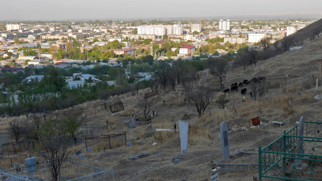 Goats on a cemetery