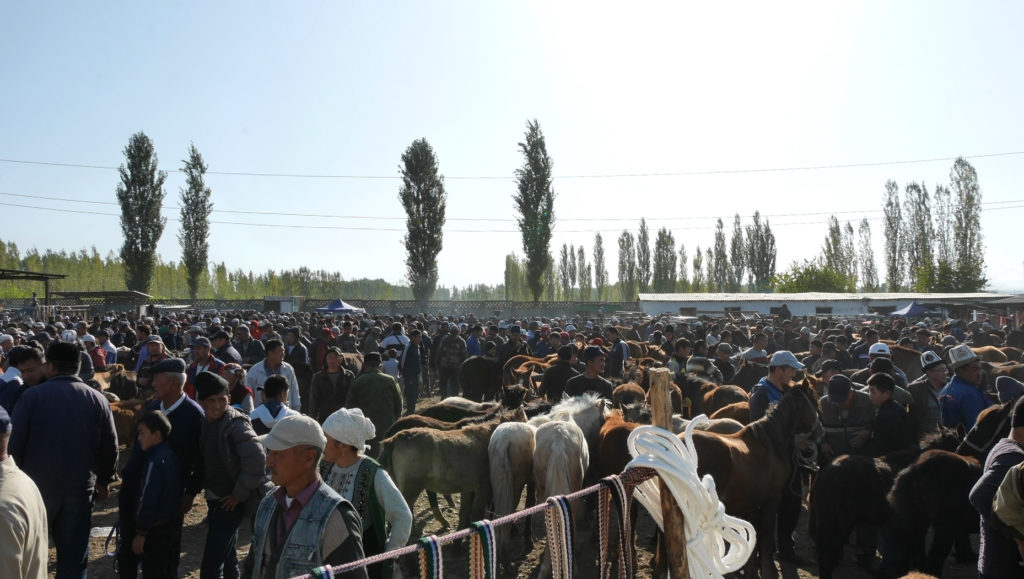 The Animal Bazaar of Osh