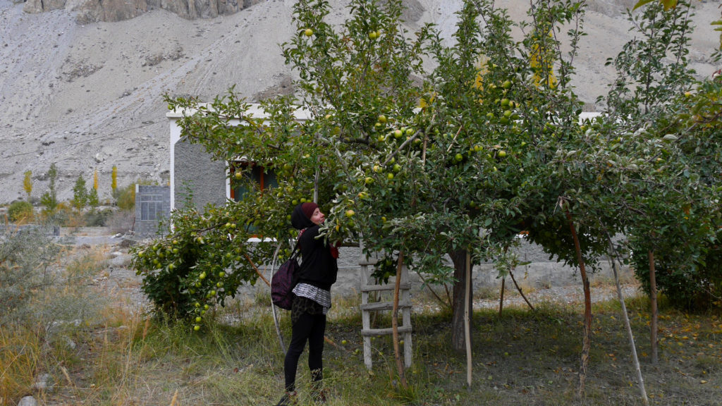 We could pick as many apples as we could eat from the trees of the guesthouse