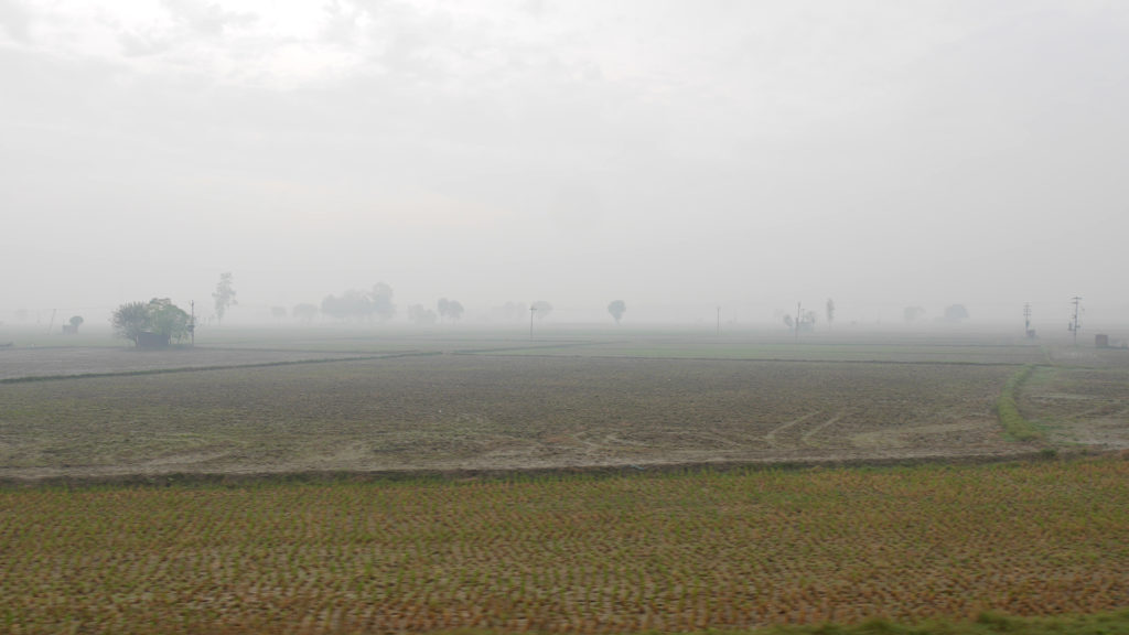 Morgennebel während der Zugfahrt