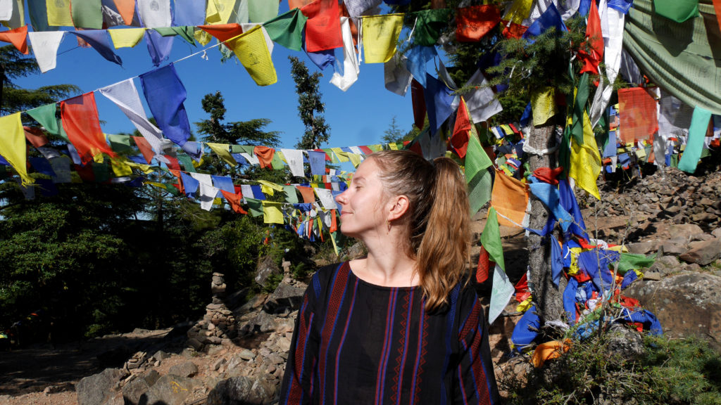 In a forest full of prayer flags