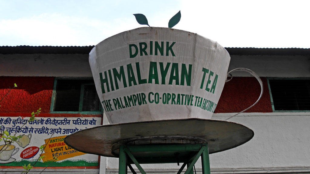 Palampur is known for Kangra tea