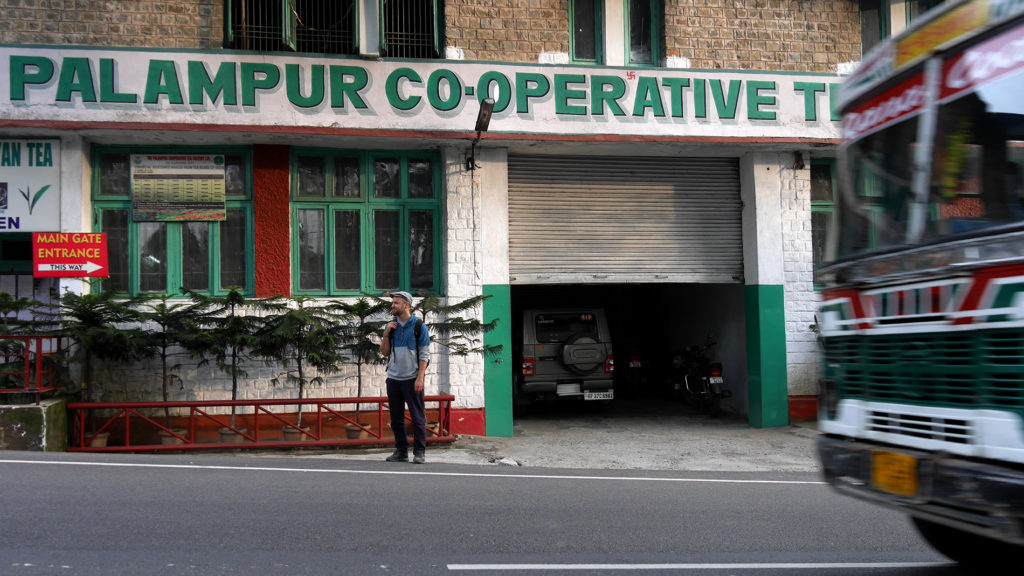 Palampur Co-operative -teetehdas