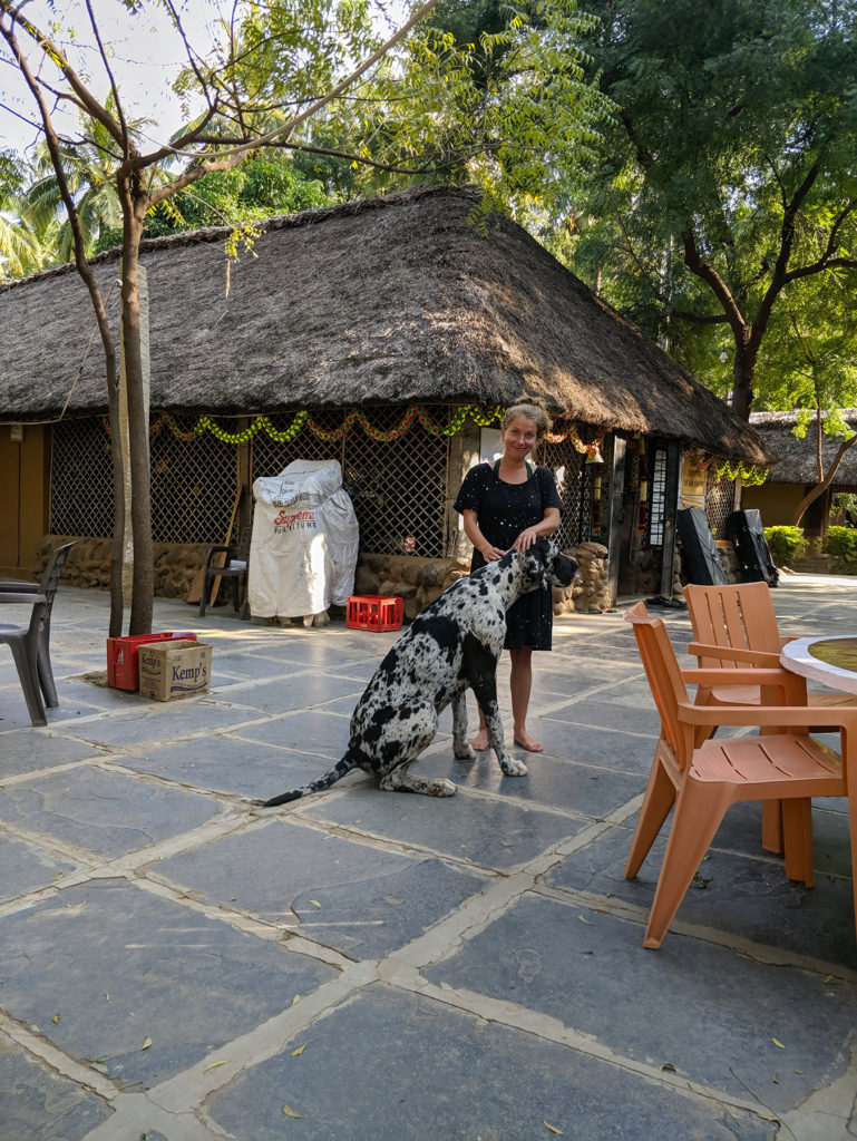 Goan Corner’s restaurant in the background and one of their cute little doggies