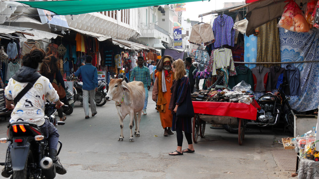 Holy cows, holy men and a lot of shops