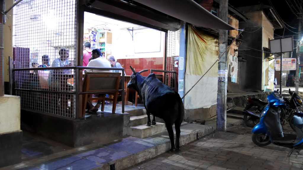 One cup of chai for the cow, please!