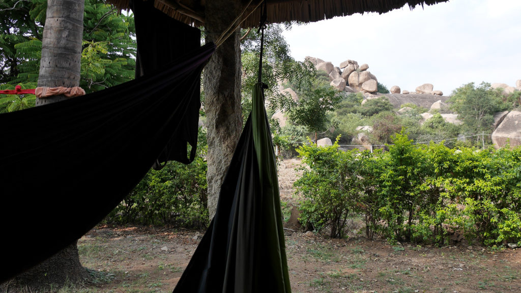 View from our hammock