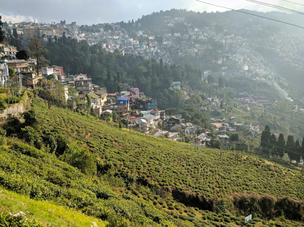 Happy Valleyn teeviljelmät ja taustalla Darjeelingin kaupunki