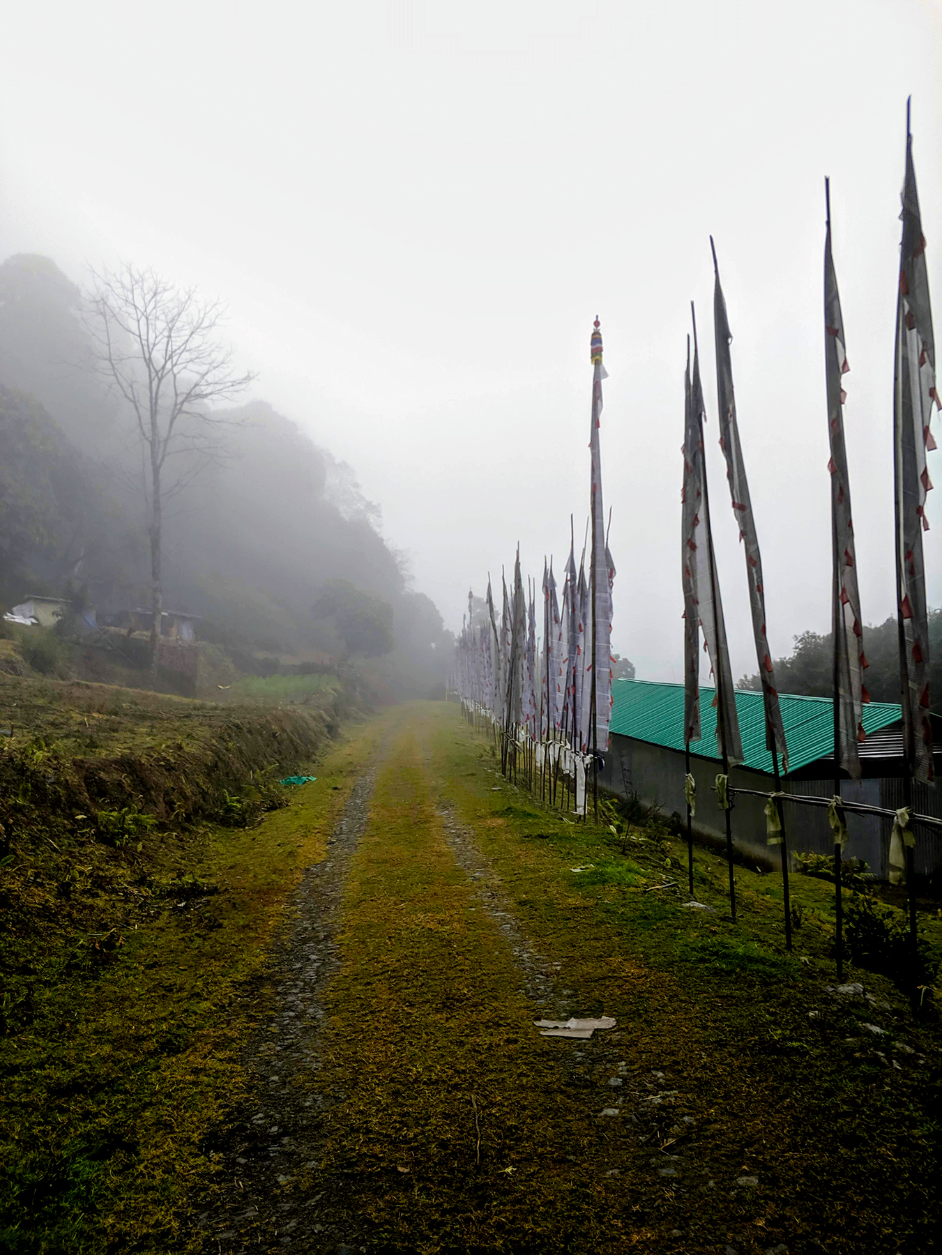 Nebel vor dem Regen auf dem Weg zum Pemayangtse Kloster