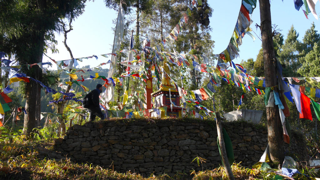 The forest was filled with prayer flags