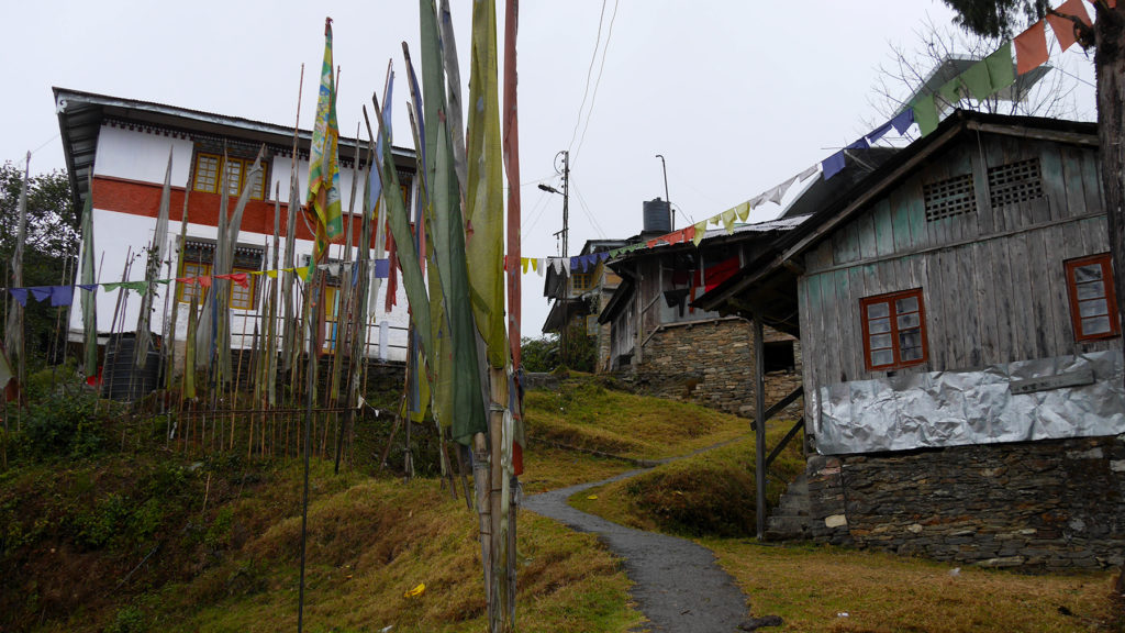 Way leading to the monastery