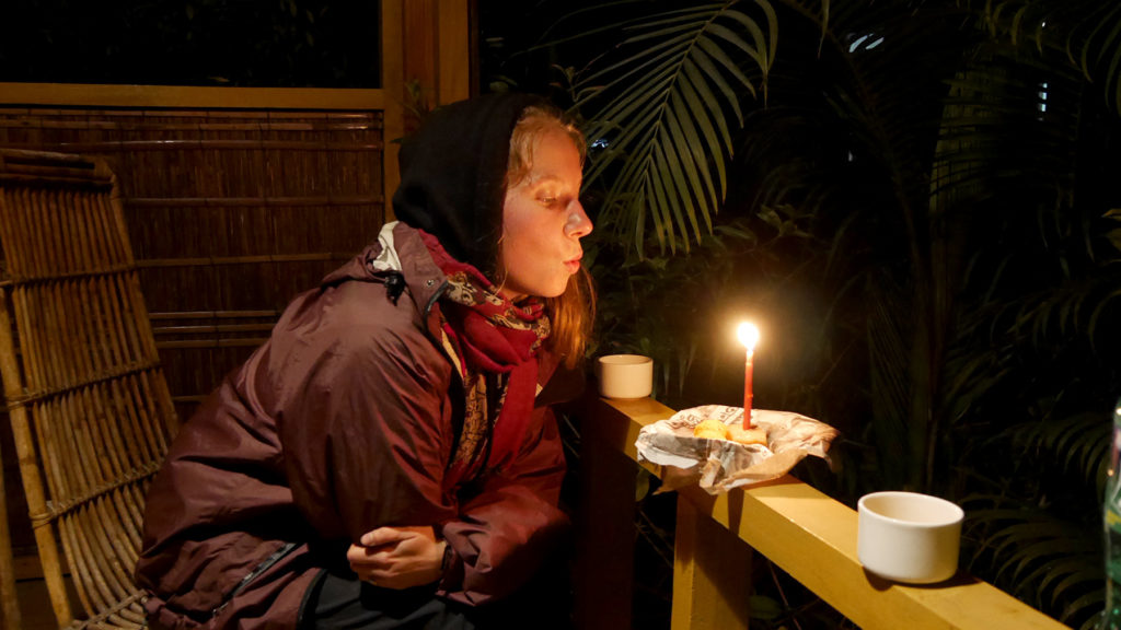 Johanna's Geburtstags- "Kuchen" und "Cocktails"