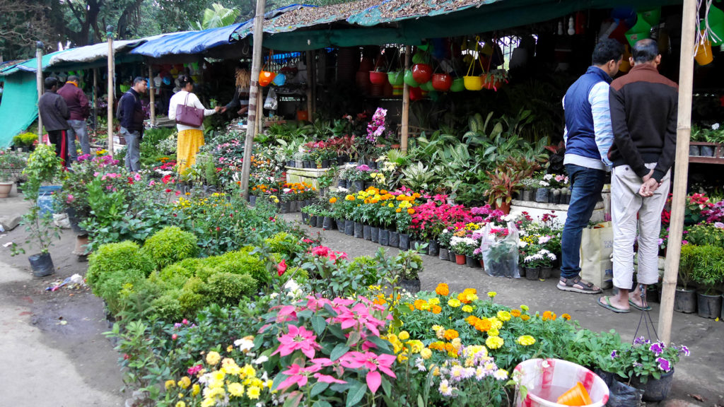 Flower market in Guwahati