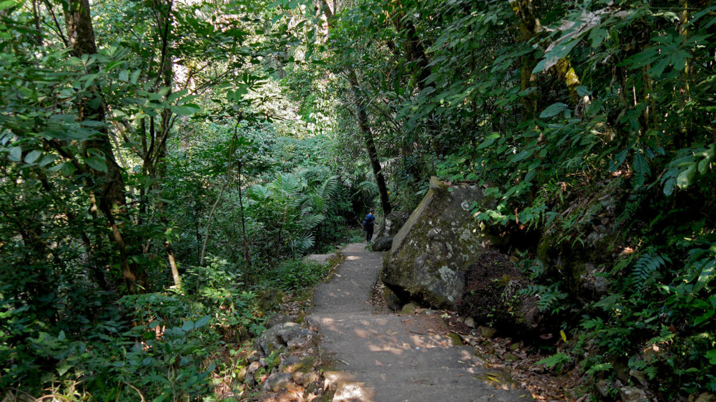 Most of the downhill was paved, and some of the parts were much steeper than this