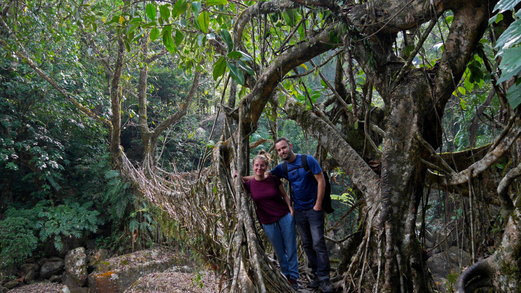 One of the many living root bridges we crossed on the way