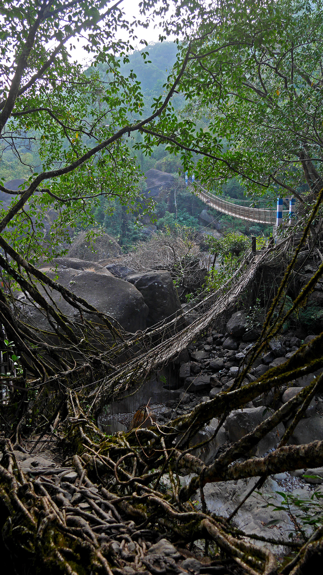 The bridges on the way