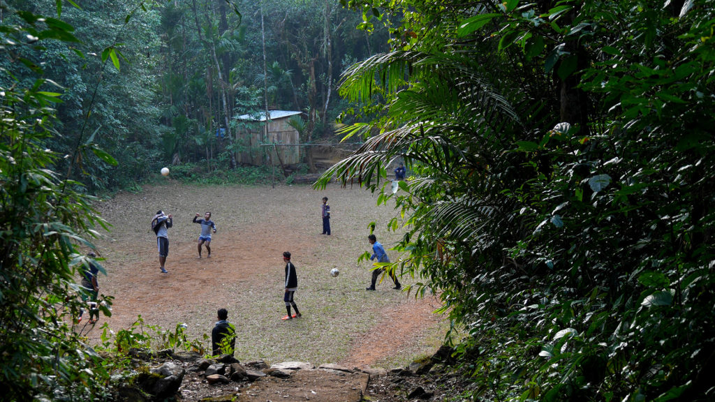 Football field in the jungle