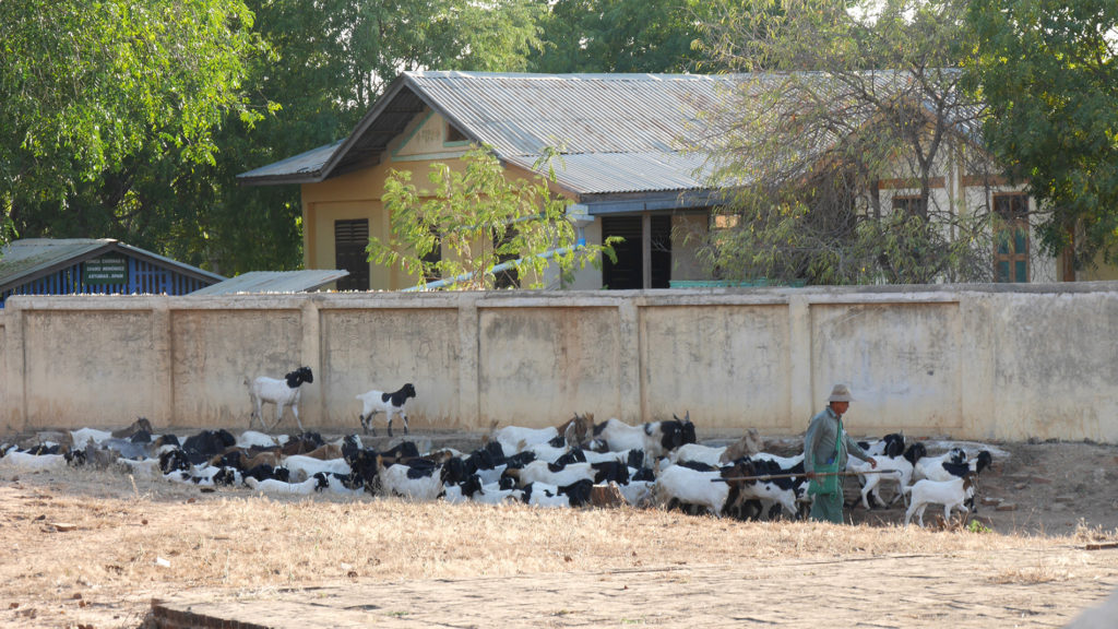 You could see the locals doing their daily chores at the archeological site