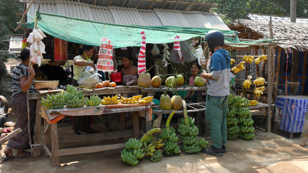 The little fruit stand