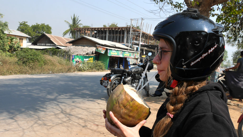 And the huge coconut