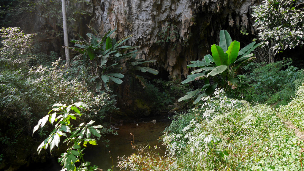 River leading to the cave