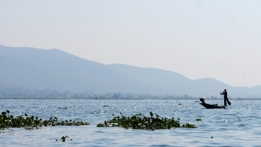 Man fishing in traditional style at Lake Inle