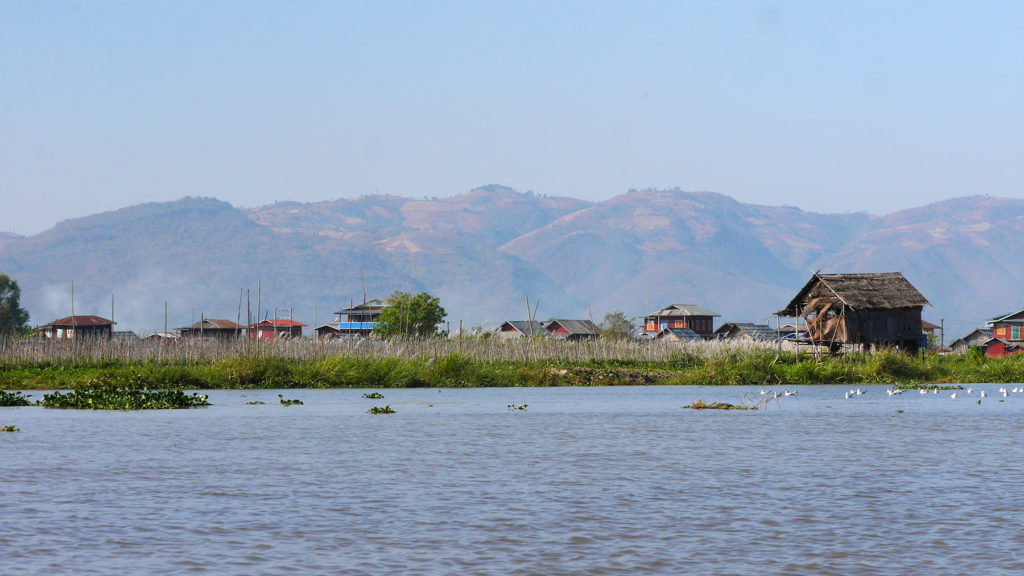 There are various vegetables growing in the floating gardens