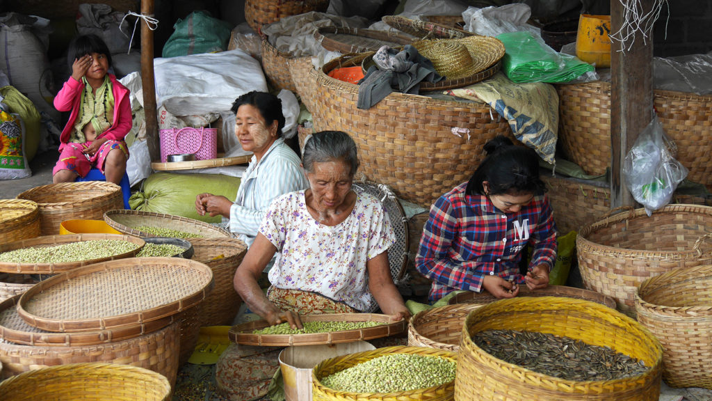 Women of the Tofu Village selecting good beans and seeds