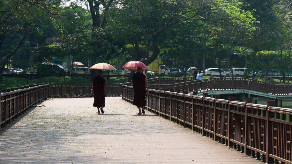 Monks enjoying the day