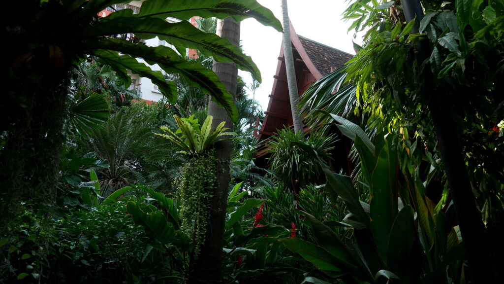 Jim Thompson's garden