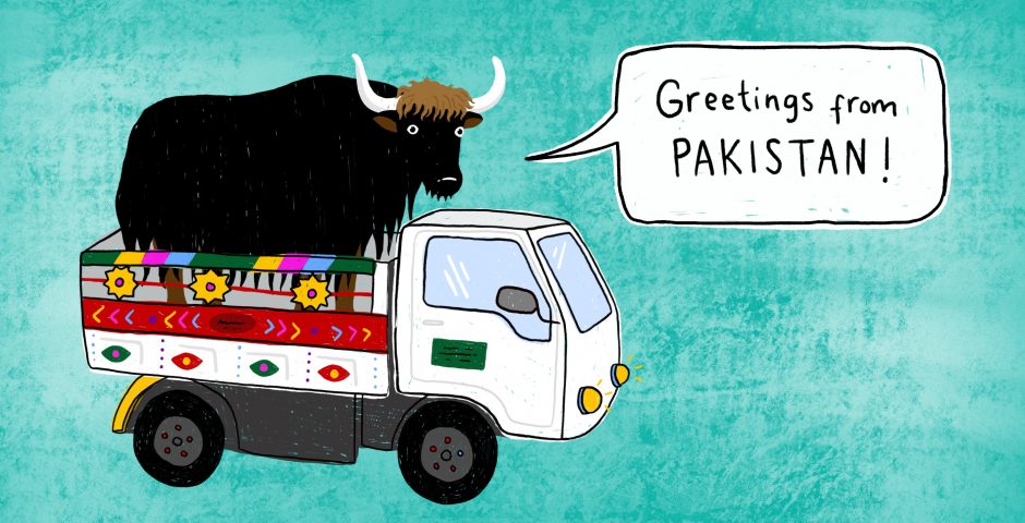 Pakistan illustration